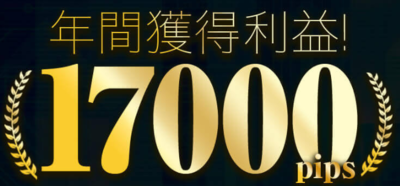 スマート・リターンFX・年間17000pips.PNG